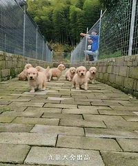 ����Ȯ��רҵ��������