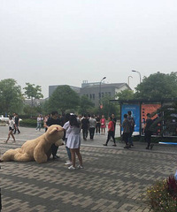 ���������磡�����ܳ������� ��������