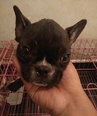 ת��3�¹��������߷���