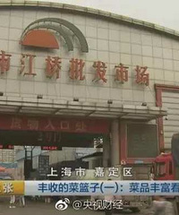 "男子靠卖西红柿在上海买三套房 每年毛利达"