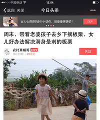 一不小心,哥居然上了今日头条新闻