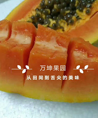 海南红心木瓜