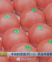 "【厉害】男子靠卖西红柿在上海买了3套房,每年毛利一"