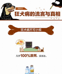 "狂犬病的真相:这些问题,你千万不要忽视"