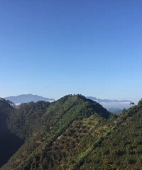 "2017年农家山核桃自产自销"