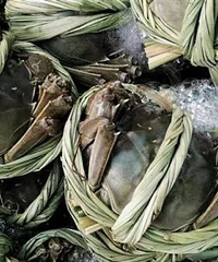 "海归夫妇放弃高薪养大闸蟹!一个绝招,让当地人一天就赚1000"