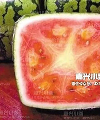 "嘉兴一农民年入百万 十年前曾种出“方形”西瓜"