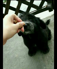 ��̩���ؼ�1500