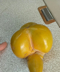 ���˶�����