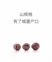 "临安岛石小核桃!自产自销,都是新货,就卖"