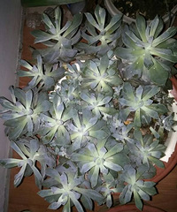 ���е�����