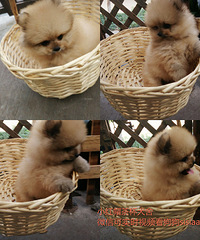 ë������  ����������