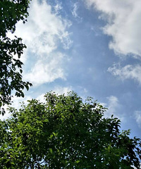 ��ʶ��һ��Ե�������һ�ַݣ�����Ⱥ��ӭ���쵥����������