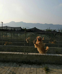 ̨�ݾ���Ȯ���Ʒ�ʳ������ѵ��