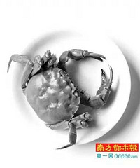 "大闸蟹是避孕药催肥养大的?看螃蟹都被造了"
