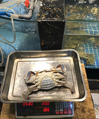 胜利河美食街吃饭 断掉的蟹腿又长出来了?!