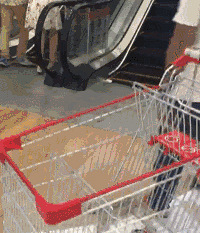 ���ˣ��ҳ��ѹ��ﳵ������ͯ������С�������˴��������ַ�����