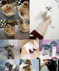 �߶˲豭Ȯ����  ���ݱ������Ʋ豭Ȯ��