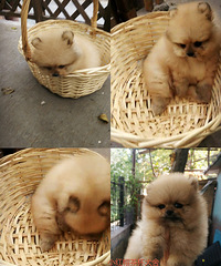 ��ë��ë��ë  ��������������