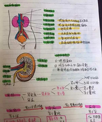 ����Ů���ѿ�ѧ�ʼ������ɻ汾��ÿҳ���в�ɫ�廭������