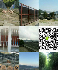 ̨�ݾ���Ȯ��רҵ�������ѵ��