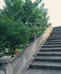 ��������  ���缴�����Ƿ羰