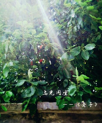 ��λ�����Ů������