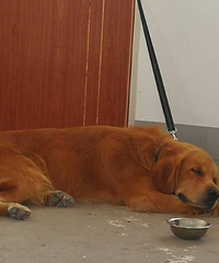 Ѱ������