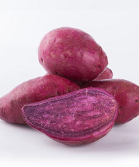 ����ɽ������������� ��ɽ�е�����