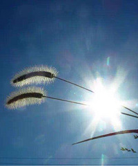 You and Me.ഺٿtĺForgetڽ