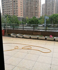 �������ӹ��񹷵���������