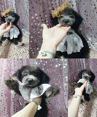 ��̩���ؼ�998