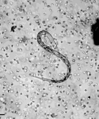 ���Լ��ٺ�һ�㣡�κ�ʱ��Ҫ�������Լ�