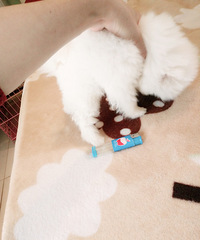 �豭�ײ������������ ���ݱ������Ʋ豭Ȯ��