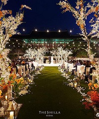 ˫�λ�����񳡵��ع� ������Χ�������糡��