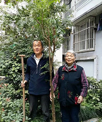 "感动!杭州大伯骑电动车穿过一座城,给她送去两棵香椿树"