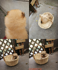 ���ཿ��鱦�����¼�