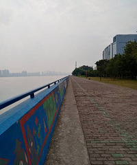 打卡+美景(继续江边散步)
