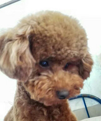 3��̩������������