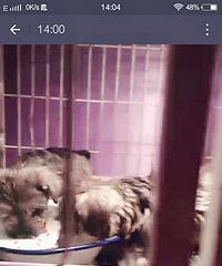 һ��ѩ���𱦱�800 �����������ſ�