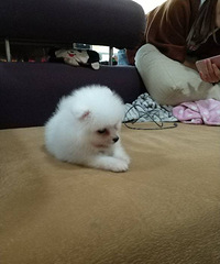 3����С�岩���ܵ�Ѱ��ʺ��