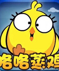 "咯咯蒸鸡,现卖现蒸,由红枣桂圆党参当归姜"