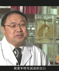 "吃冬虫夏草还是吃央视推荐人参皂苷Rh2,改善免疫力选哪个?"