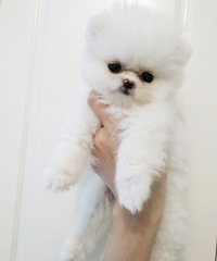 �豭�������������   ���ݱ������Ʋ豭Ȯ��