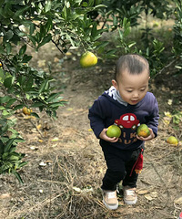 秋游