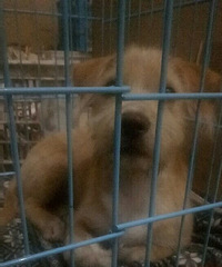 ·�ϼ�ģ������