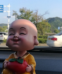 "建议要求交通安全常识重胎教抓起"