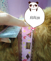 �豭̩��1800ת�� һ�������Ѷ�