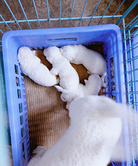 ̨�ݱ��ؼ�������