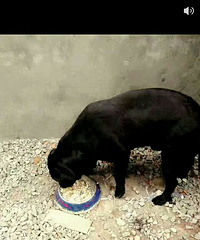 ̨�ݱ��ش���ת����������